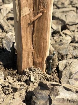 Postani vinar za en dan 9